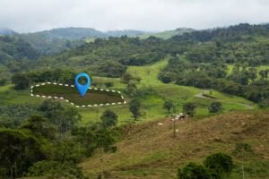 Why Plots in Trivandrum are a Smart Investment in 2025
