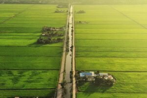 Things to Check Before Buying a Plot in Kerala